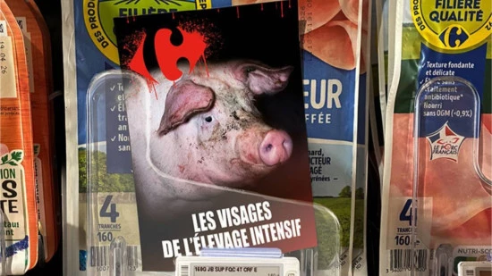 Annecy : L214 en manifestation ce samedi devant un magasin Carrefour
