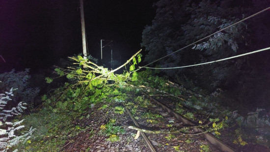 Chutes d'arbres à cause des orages : tous les trains annulés entre Annecy et Aix-les-Bains