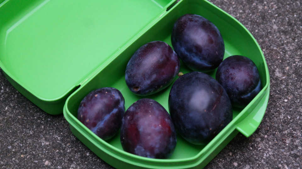 Grand Annecy : Une r&eacute;duction sur les repas via un contenant r&eacute;employable